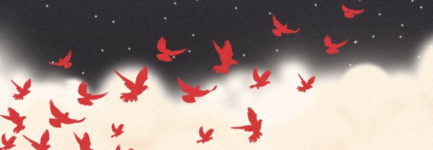 Free Falasteen Fest II: Sin Fronteras