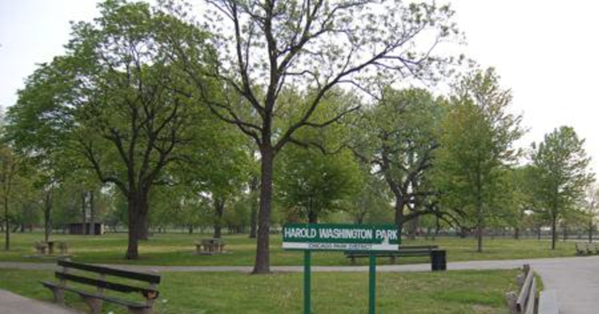 Tweens in the Park Field Day