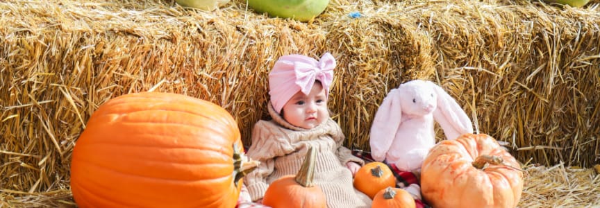 Pumpkin Harvest Festival
