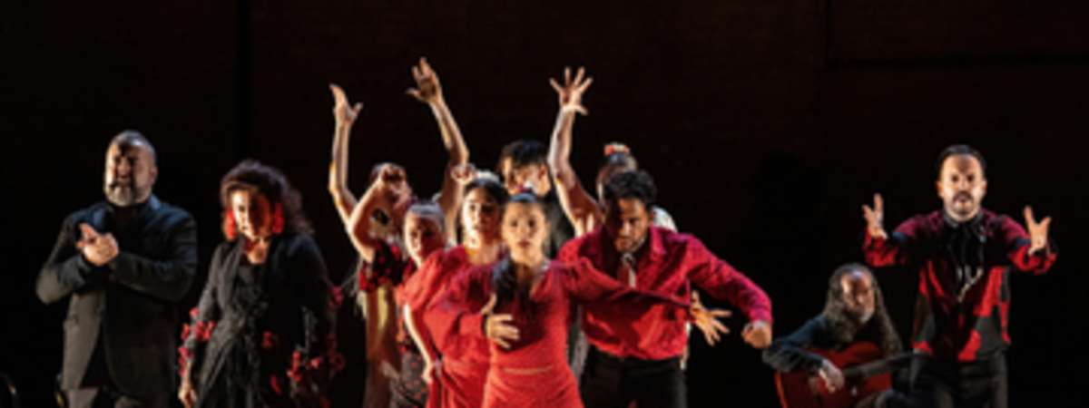 Soledad Barrio & Noche Flamenca: Tanto y más