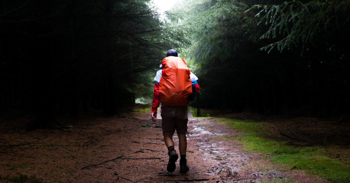 Nightlife Hike in New Braunfels at Fischer Park (New Braunfels)