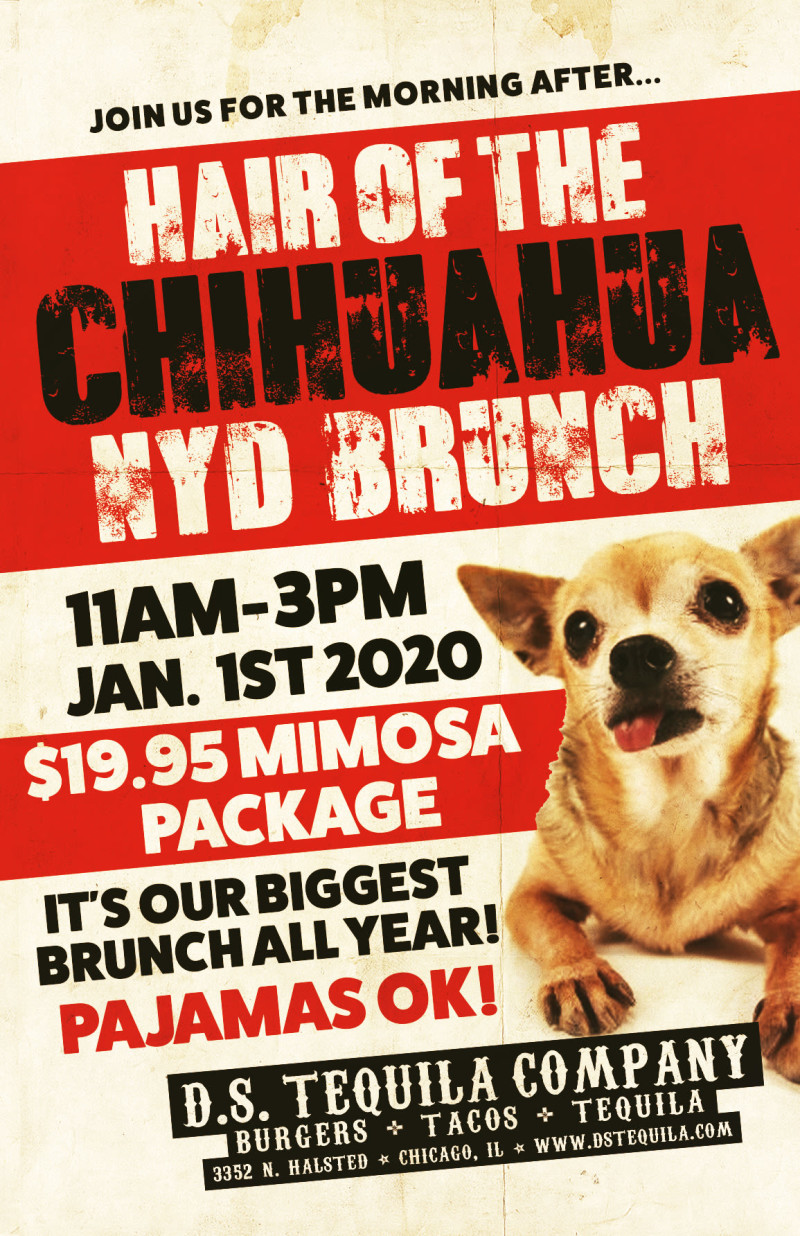 New Year's Day Brunch · Hair Of The Chihuahua in Chicago at DS