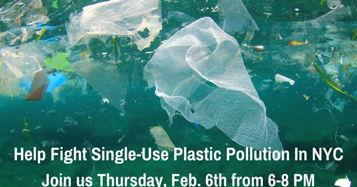 Strategy Meeting to Reduce Plastic Pollution In Nyc in New York at