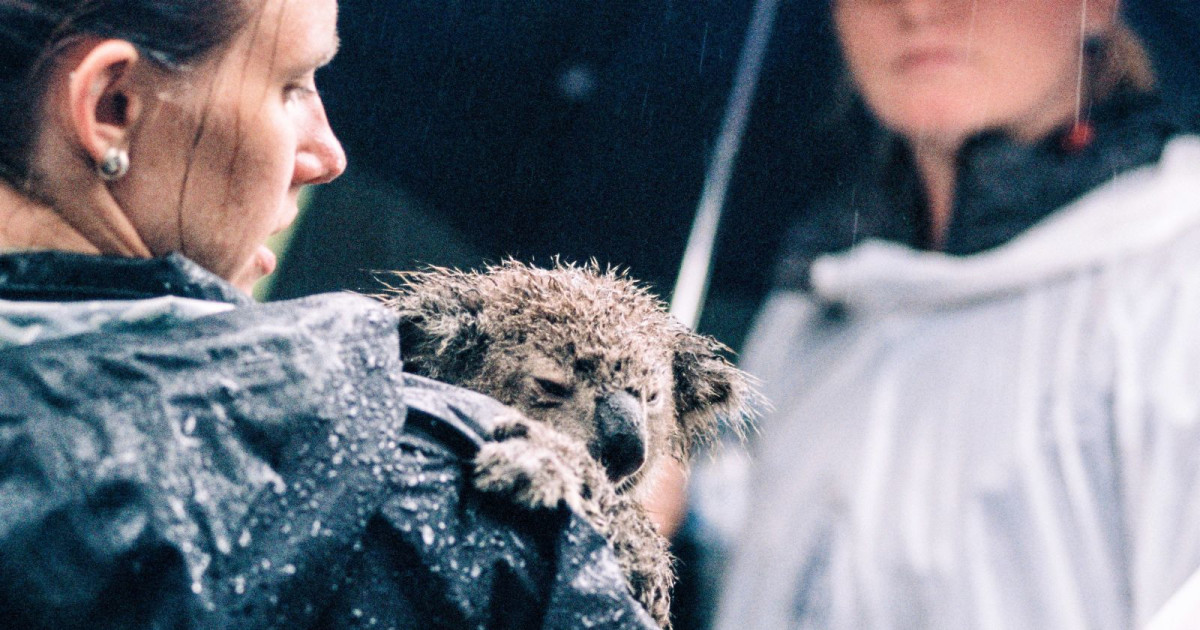 MEAD for Australia Fundraiser in Austin at Meridian Hive Meadery