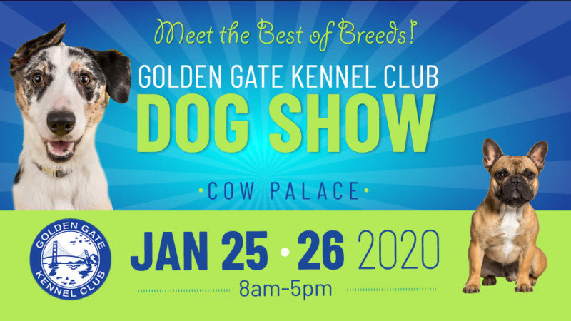 golden gate dog show