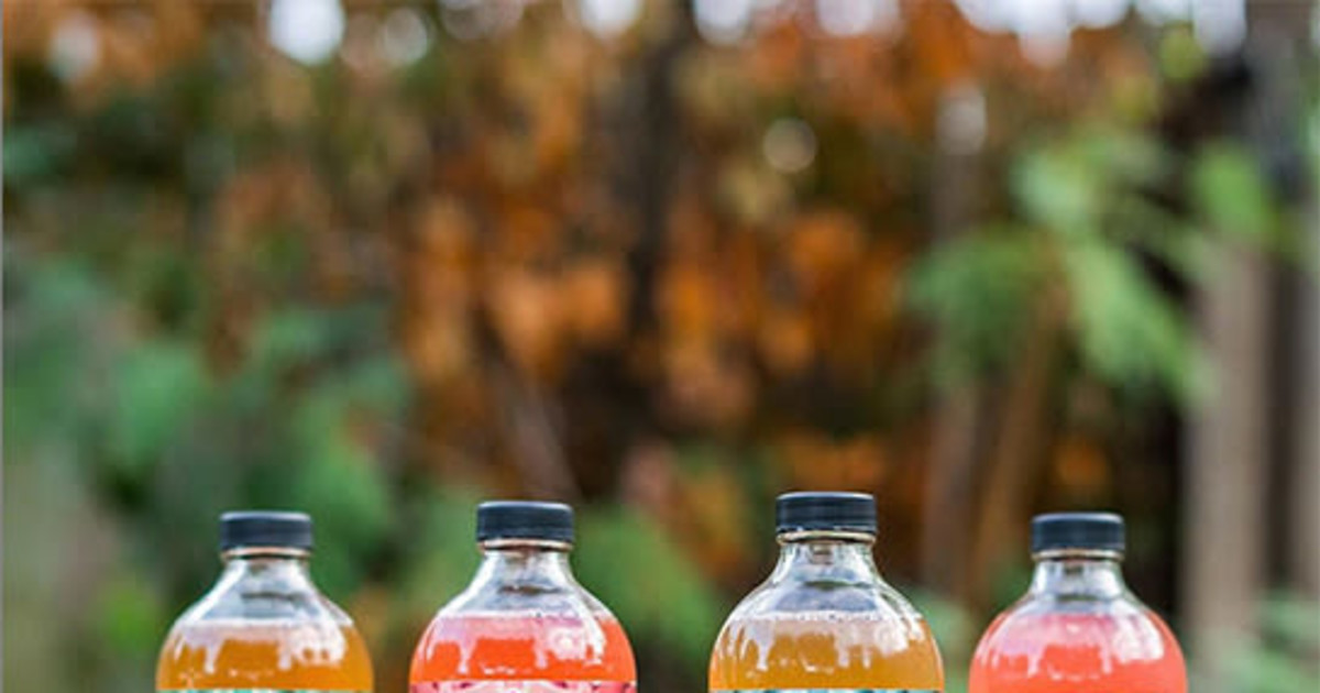 Taste of Larder Element Kombucha in San Antonio at Larder Fine