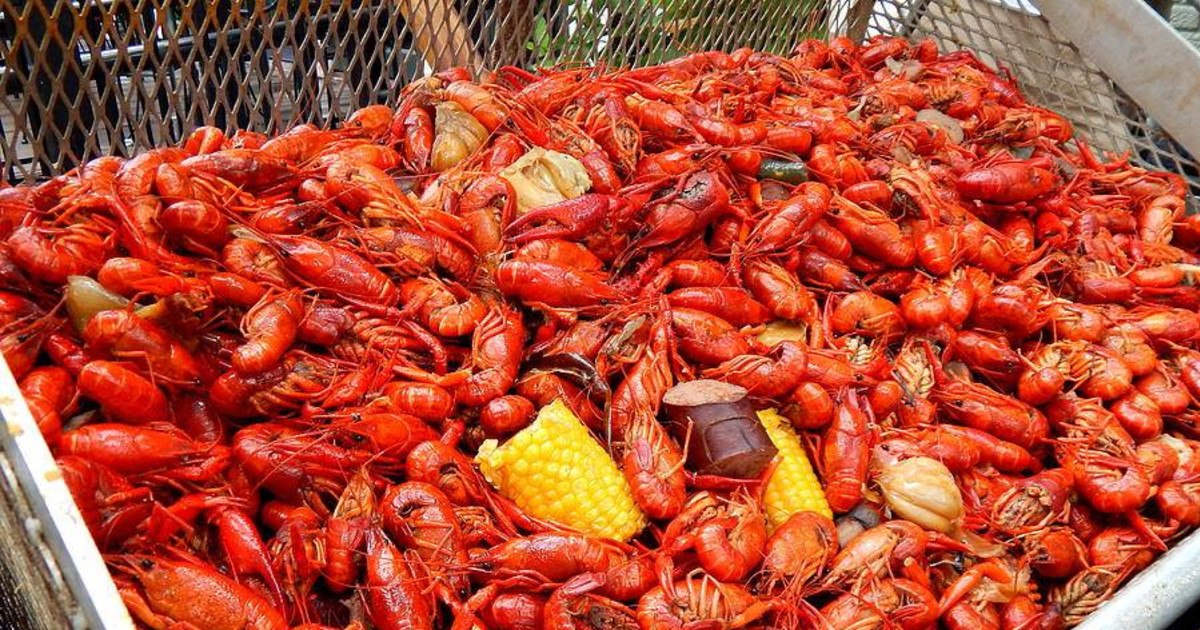 All You Can Eat Crawfish & Shrimp Boil in San Antonio at Bentley's