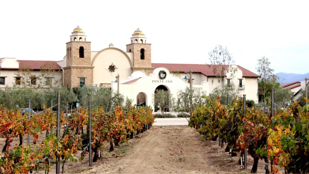Temecula's Best Wineries