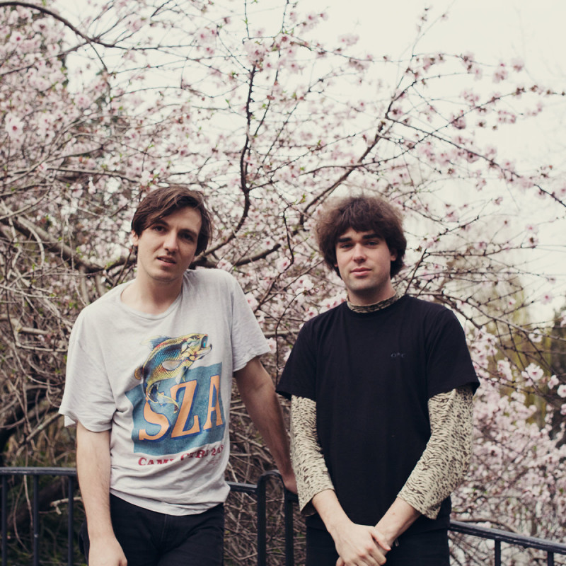 Good Morning In Chicago At Sleeping Village