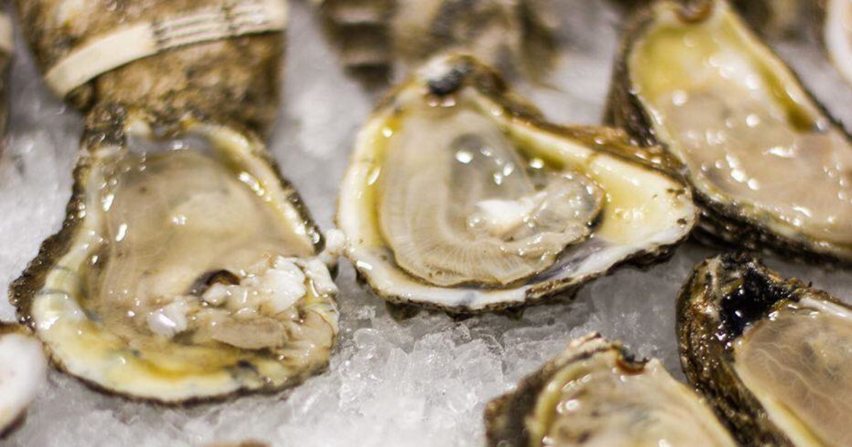 Grilled Oysters Saturday Lunch Special in Indianapolis at