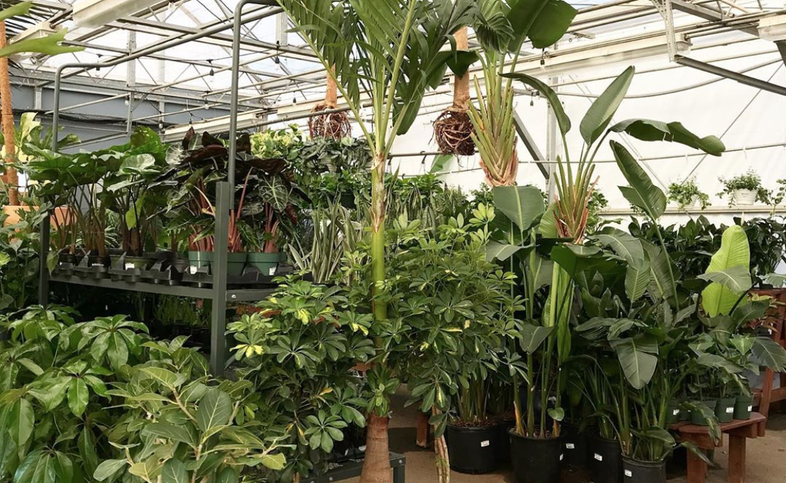 Gardens Of Babylon Nashville / Gardens Of Babylon Landscapes Linkedin