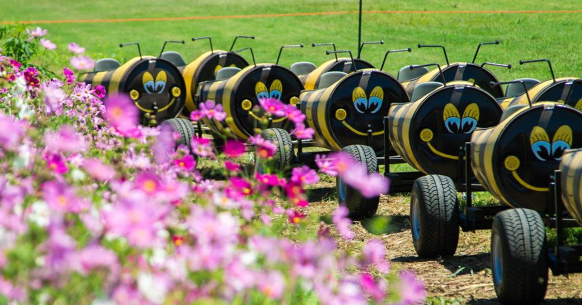 Barton Hill Farms Spring Festival in Bastrop at Barton Hill Farms