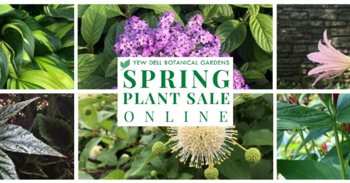 Online Plant Sale Trees/Shrubs/Annuals/Tropicals/Herbs in