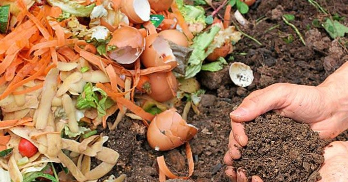Composting Basics in San Antonio at DoStuffAtHome