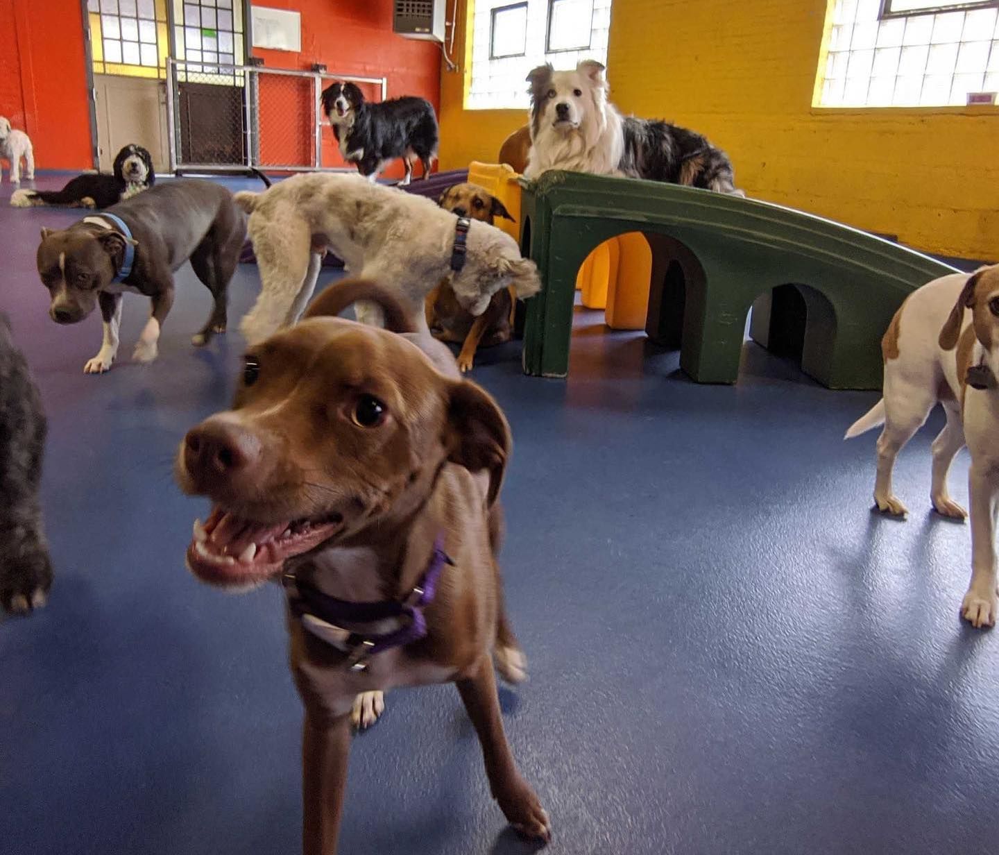 Reopened Local Chicago Businesses Salons, Bout...