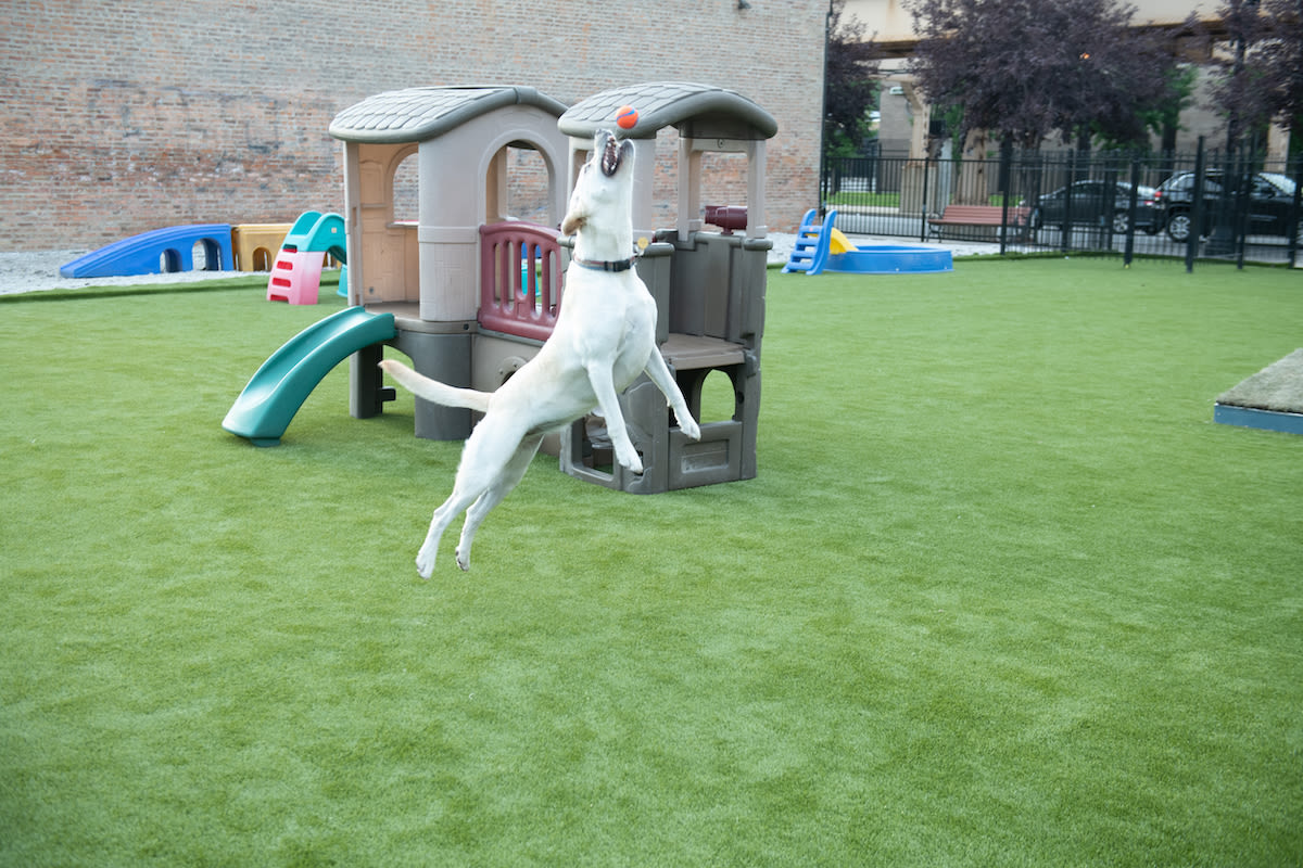 Reopened Local Chicago Businesses Salons, Bout...