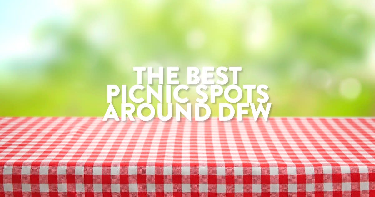 THE BEST PICNIC SPOTS AROUND DFW