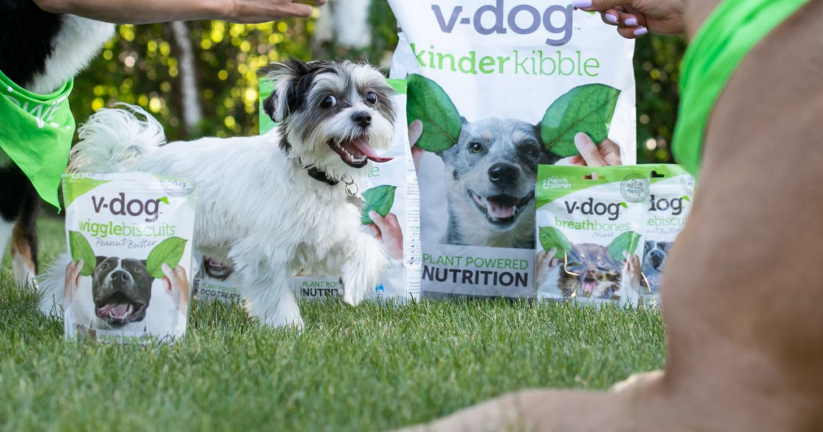 V-Dog Pop-Up Party in San Francisco at Duboce Park