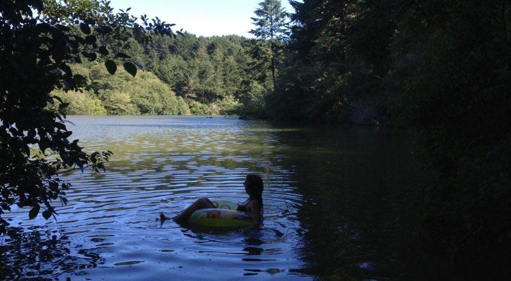 The Bay S Best Swimming Holes