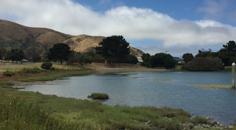 The Bay S Best Swimming Holes