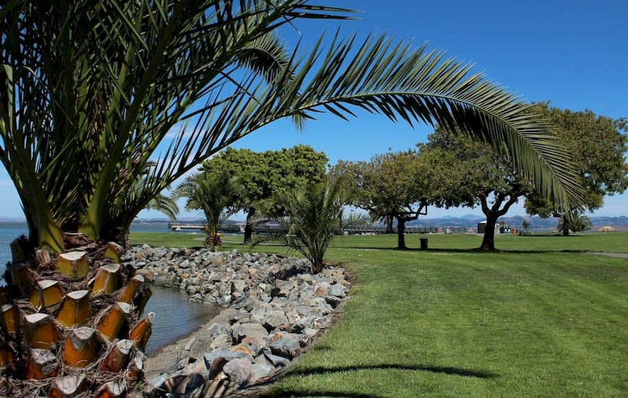 The Bay S Best Swimming Holes