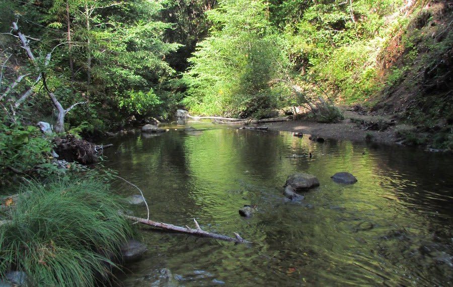 The Bay S Best Swimming Holes