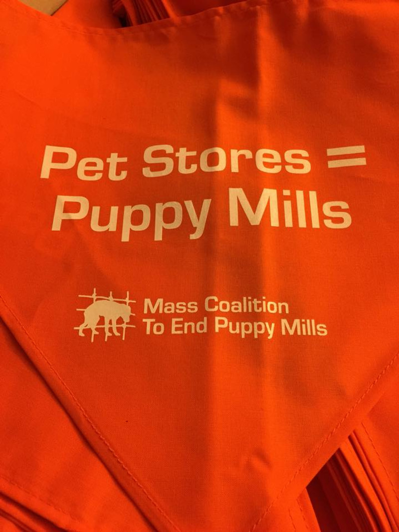 Pet Store Boston Rd 3220 Halifax Rd, South Boston, VA, 24592 Drug