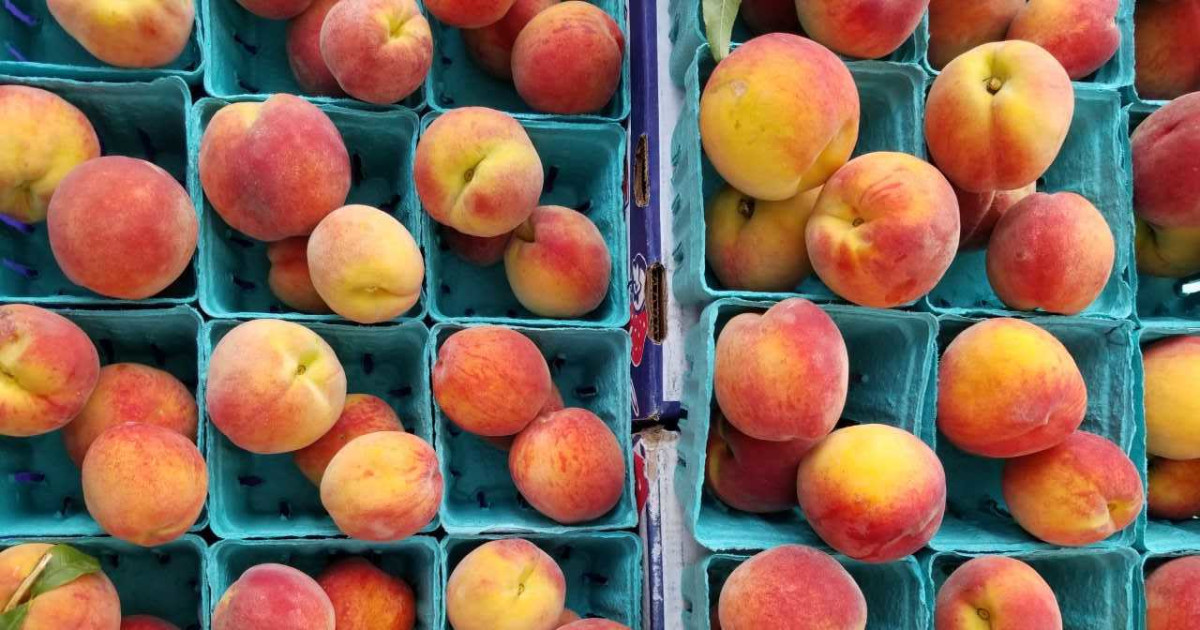 Wicker Park Farmers Market in Chicago at Wicker Park