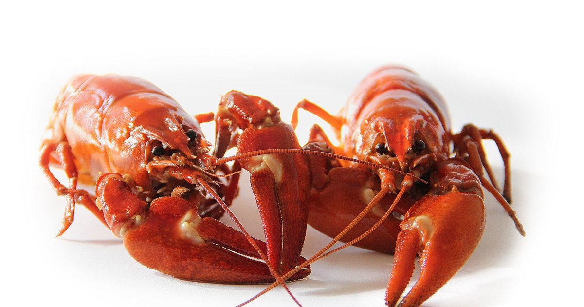 Crawfish & Crab Boil in Chicago at Frontier