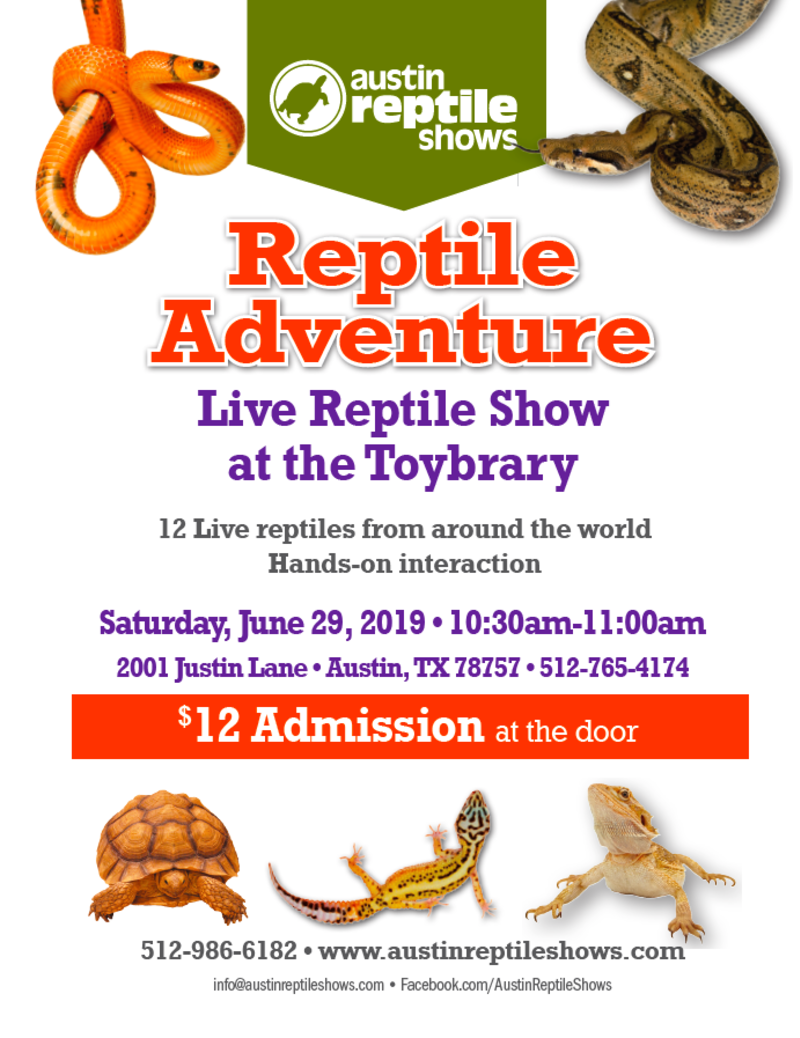 Reptile Adventure in Austin at Toybrary Austin