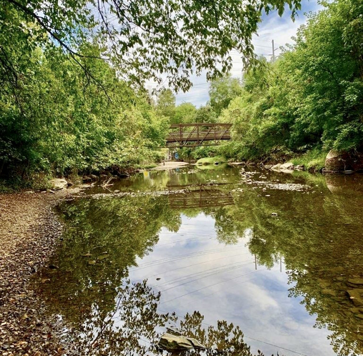 Sylvan Park Neighborhood Guide