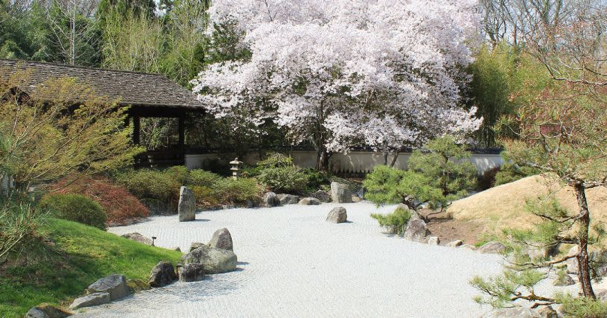 Mini Zen Gardens in Nashville at Cheekwood Estate & Gardens