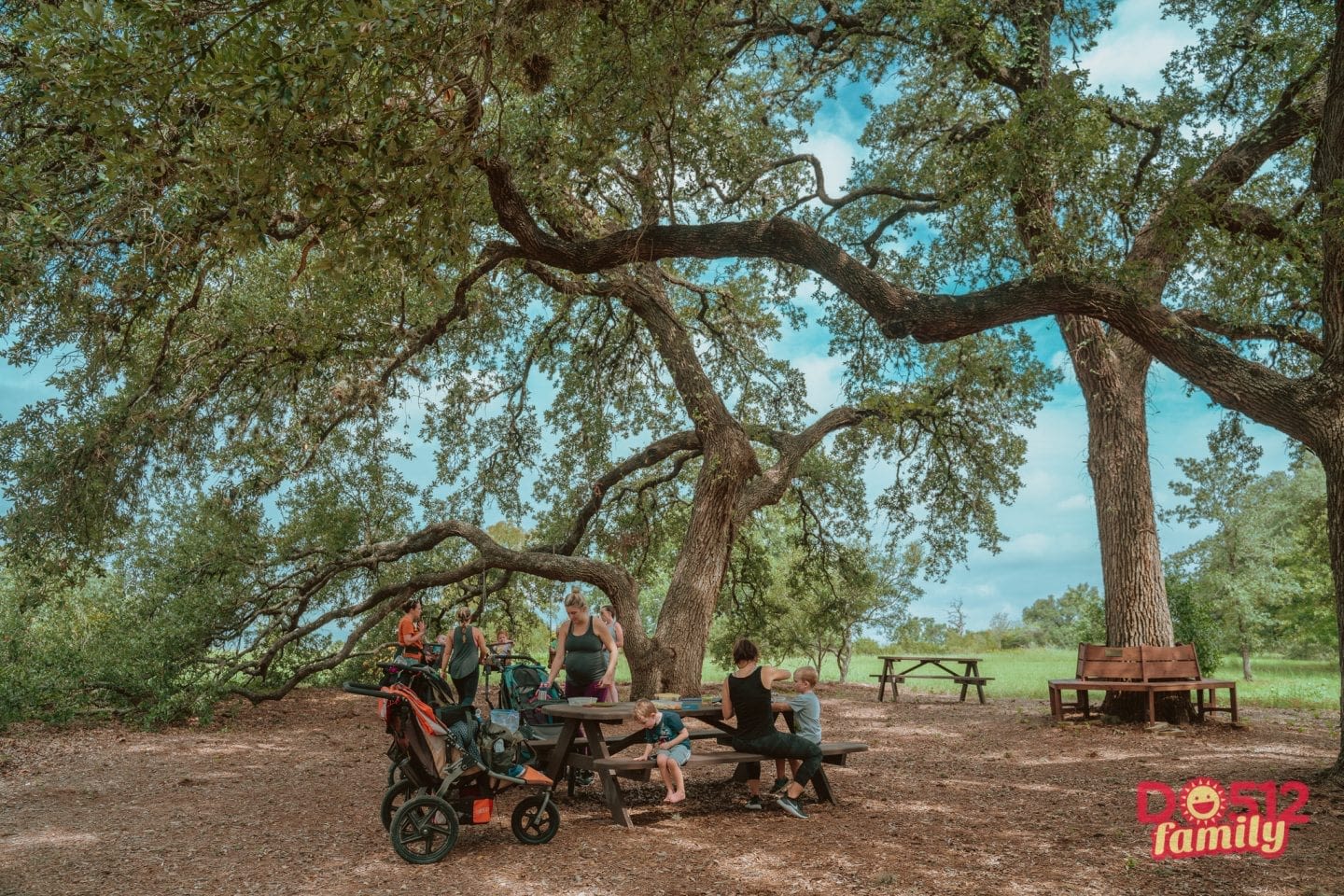 The Best Picnic Spots in Austin