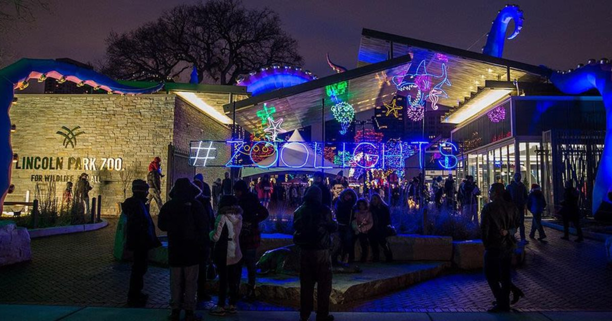 Zoolights in Chicago at Lincoln Park Zoo