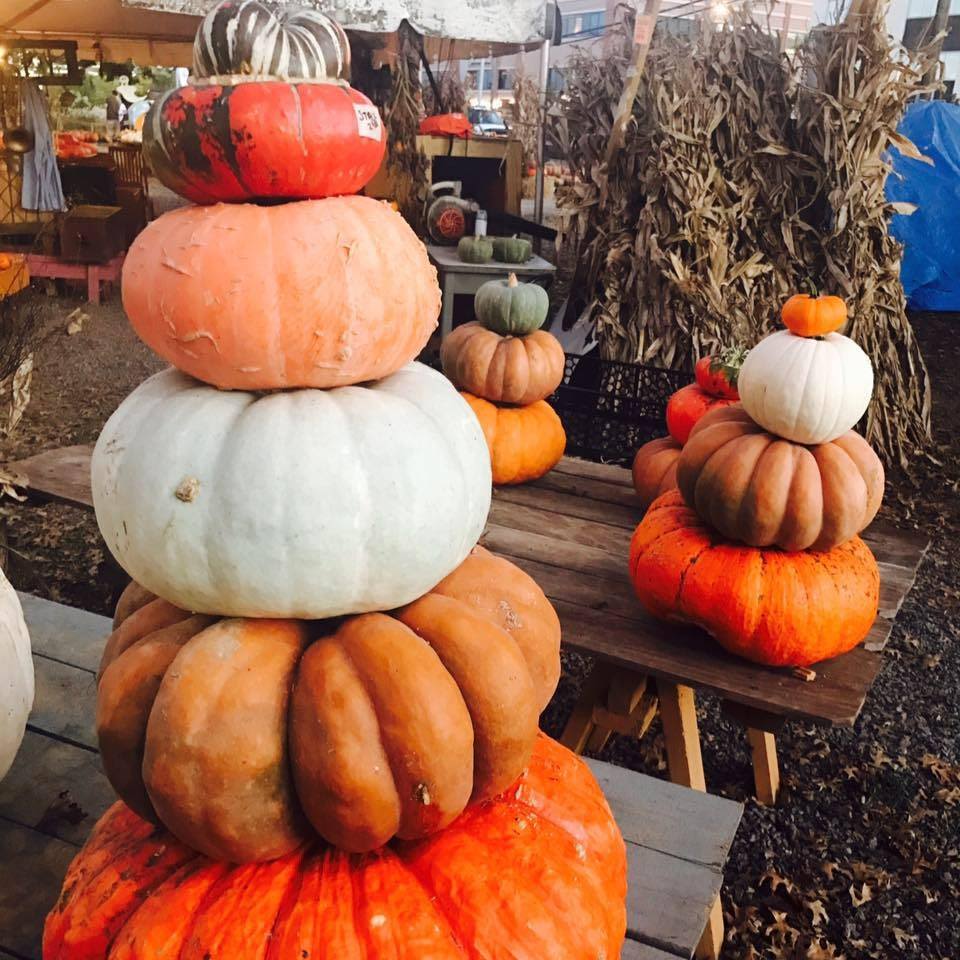 Pumpkin Patches Near Nashville