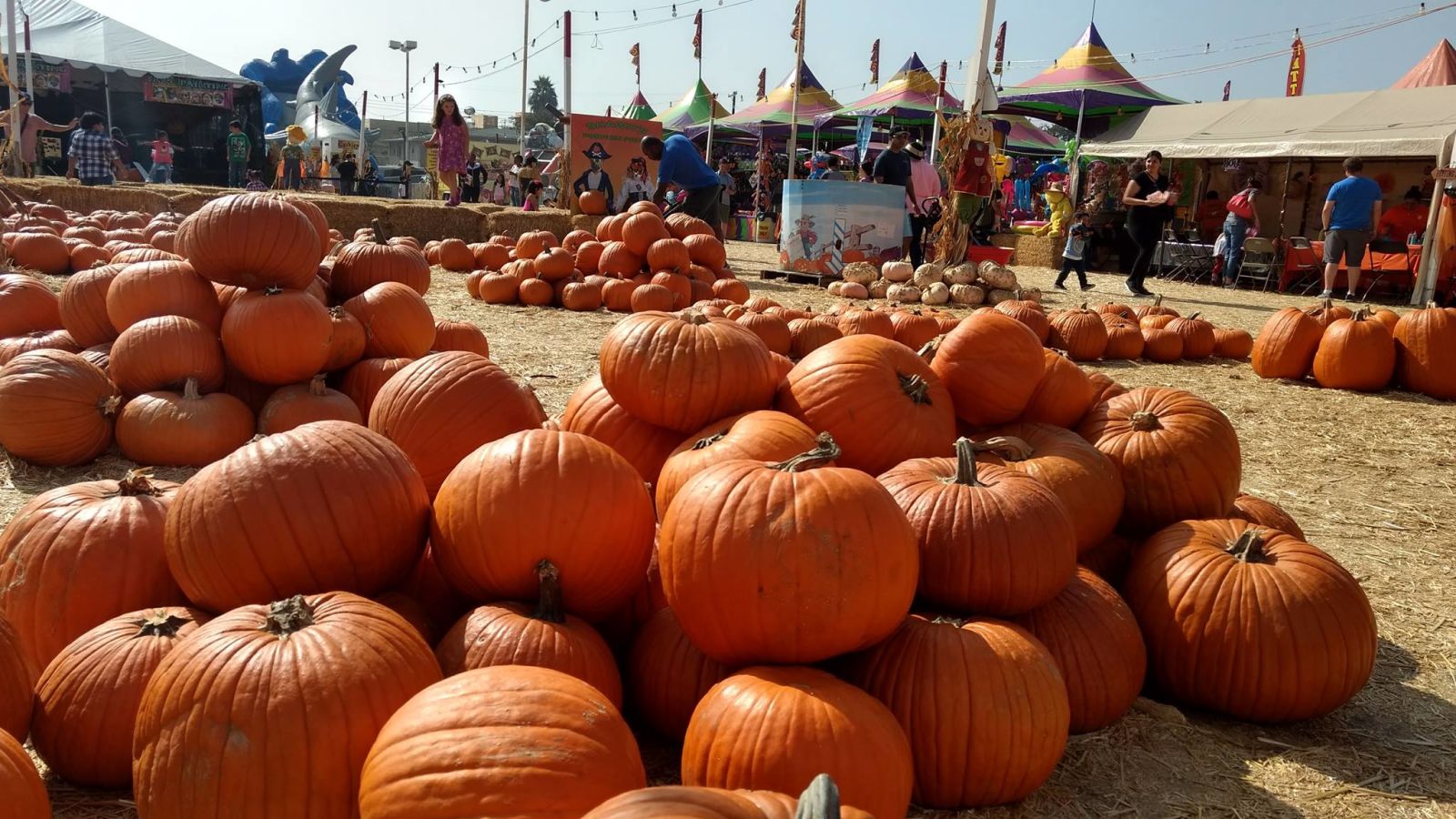 Guide To LA's Local Pumpkin Patches & Hayrides