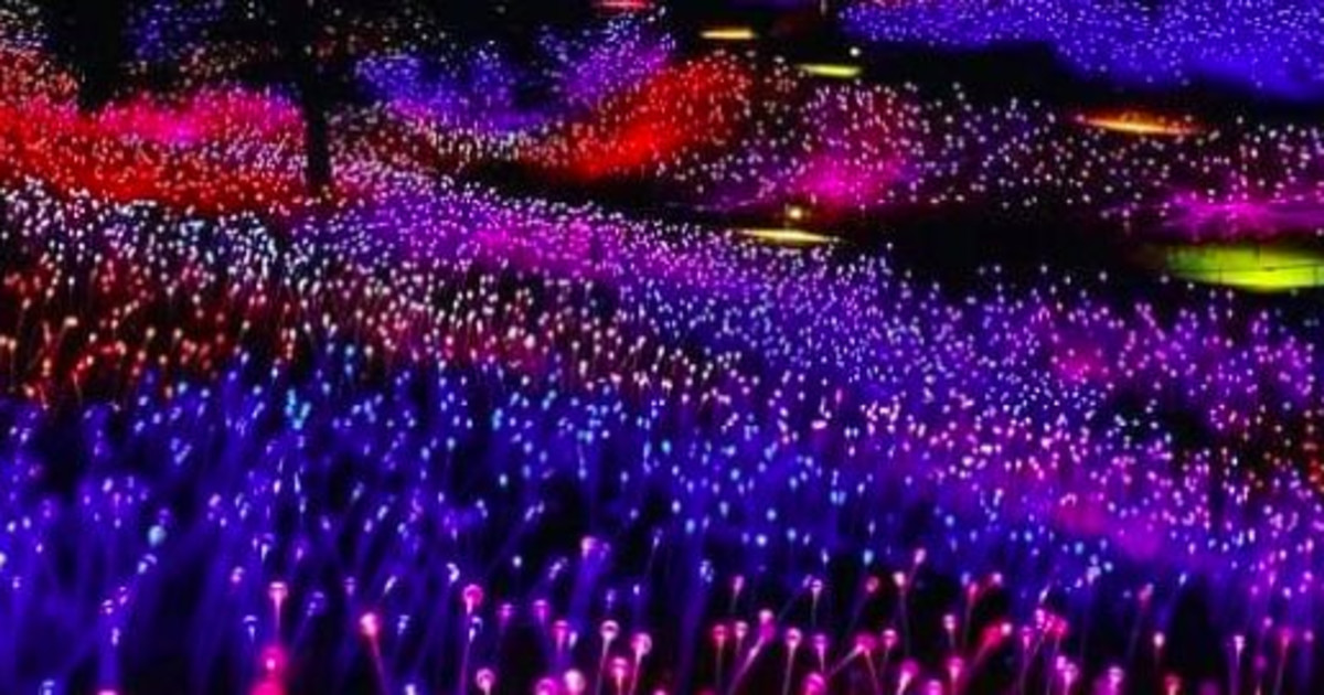 FIELD OF LIGHT AT SENSORIO (FRI/SAT/SUN) in Paso Robles at