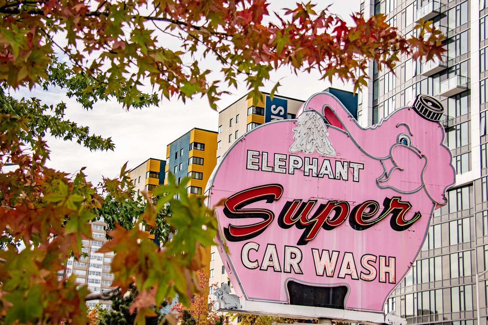 Say Goodbye To The Elephant Car Wash