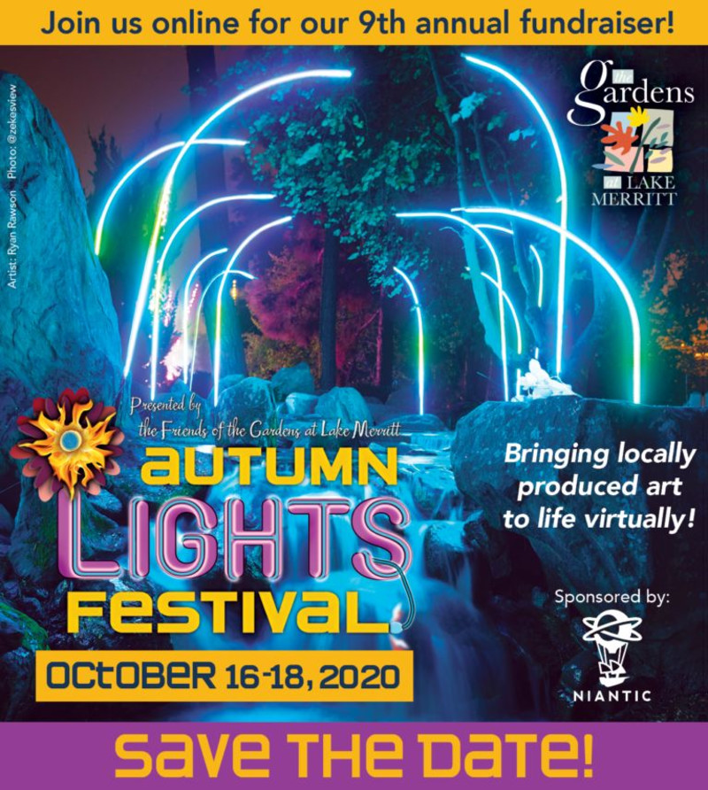 Oakland Autumn Lights Festival 2022