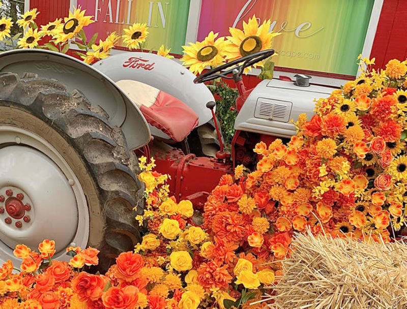 The Fall Escape by The Floral Escape in Floral Park at Queens