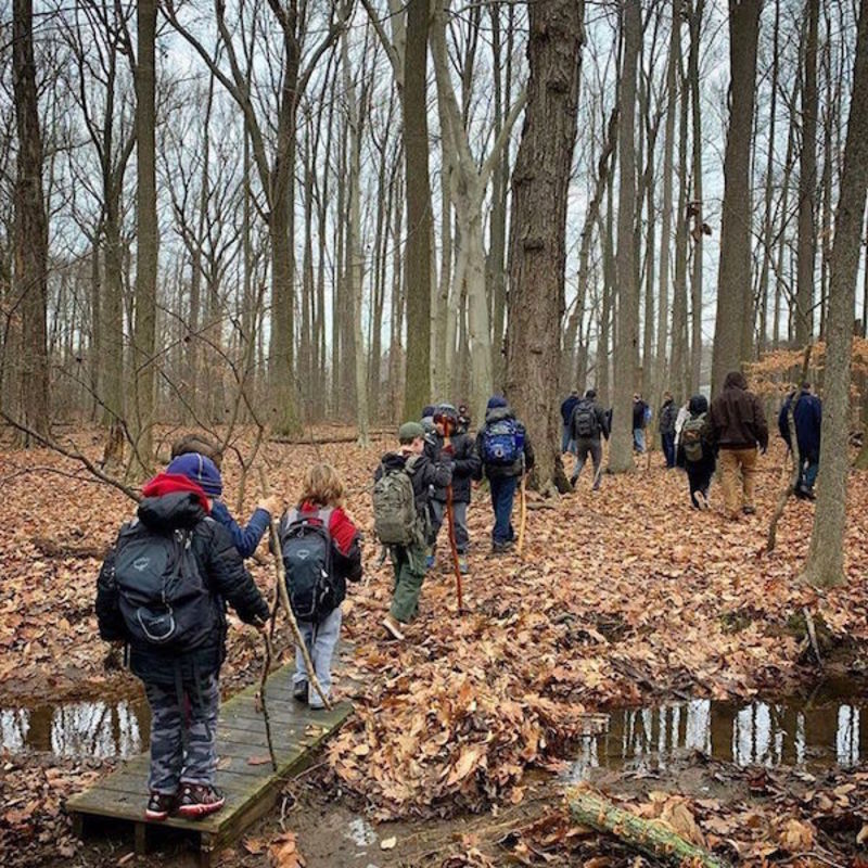 Greenbelt Adult Hike Reed’s Basket Willow Swamp in NYC at Staten