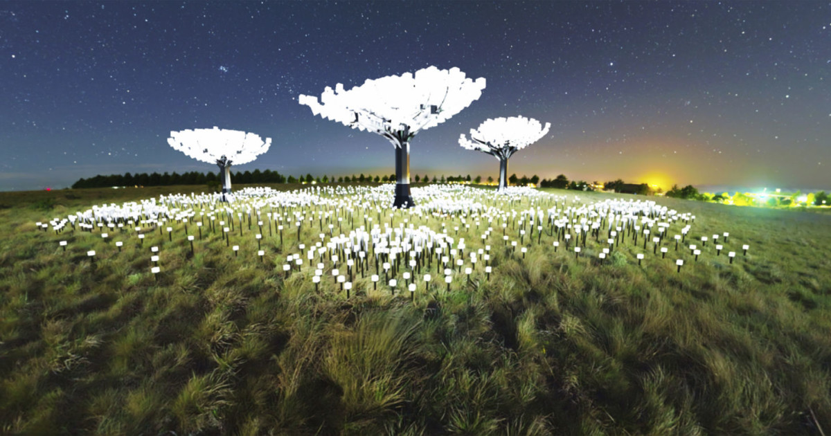 Lighted Forest - Entwined in The Bay Area at Peacock Meadow in