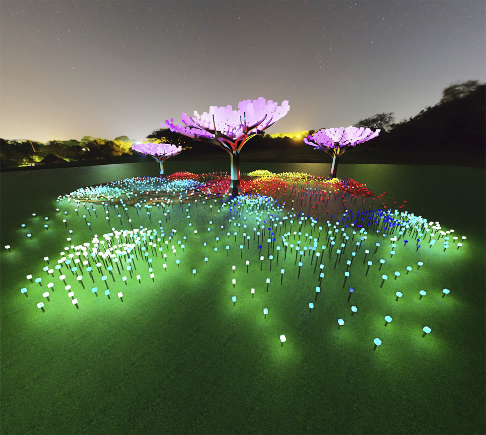 Lighted Forest - Entwined in The Bay Area at Peacock Meadow in
