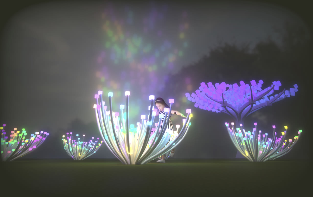Lighted Forest - Entwined in The Bay Area at Peacock Meadow in