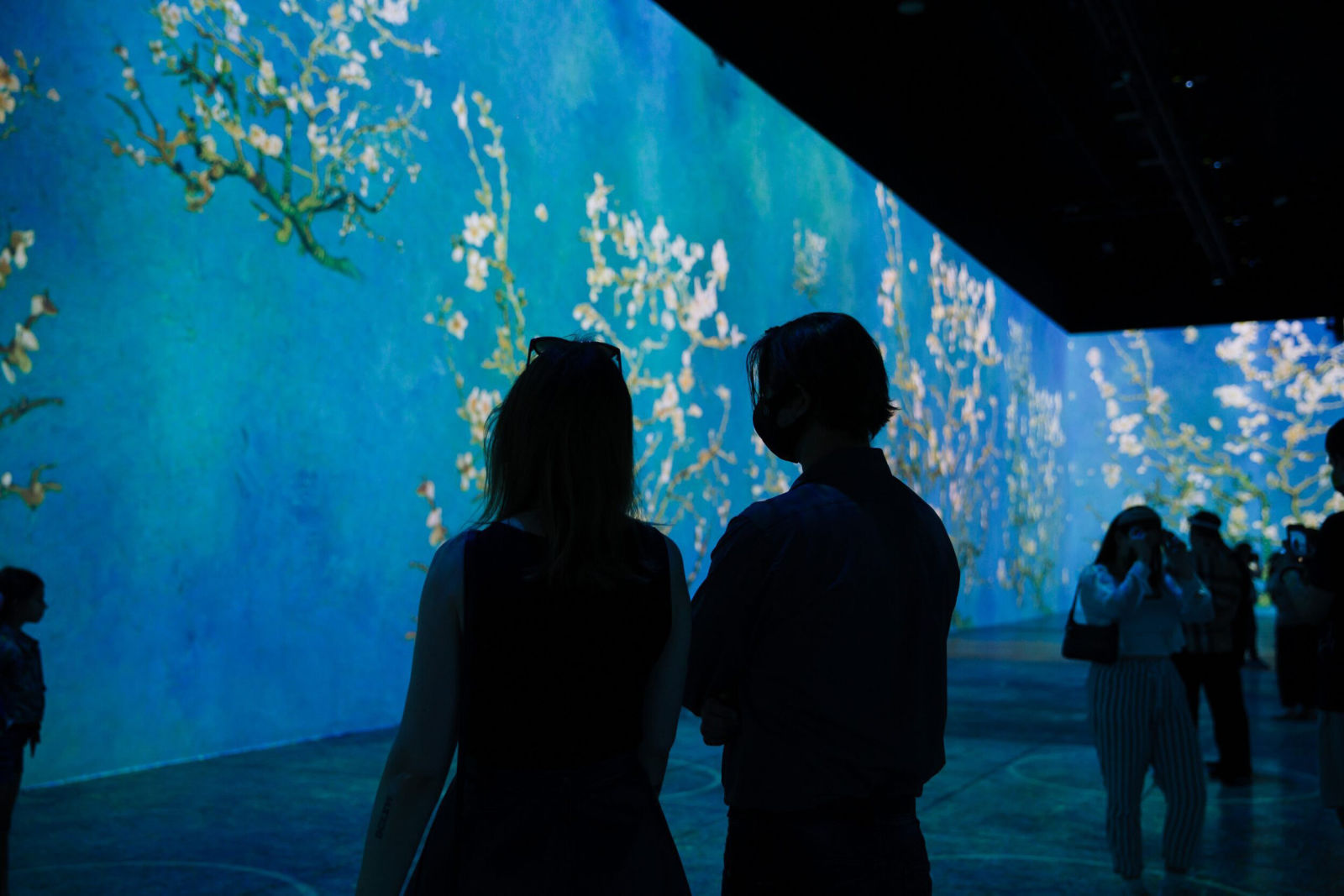 Immersive Van Gogh Exhibit in San Francisco at SVN West