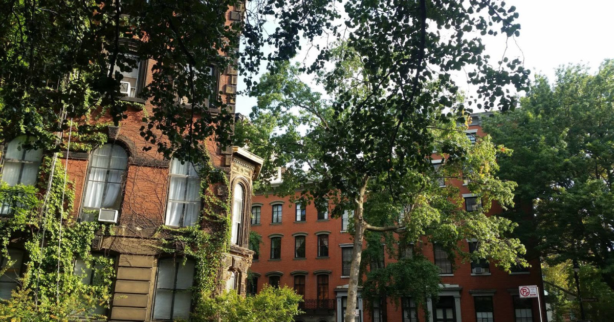 Black Bohemia a Virtual Village Walking Tour in New York at