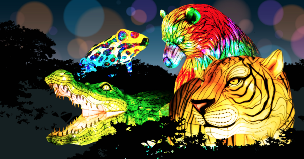 Glowfari A Wildly Illuminating Lantern Festival in Oakland at