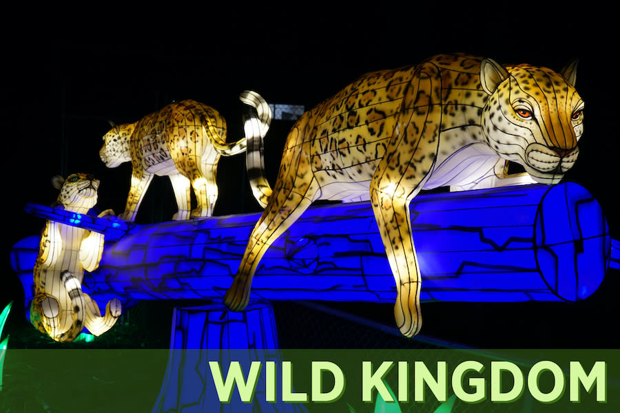 Glowfari A Wildly Illuminating Lantern Festival in Oakland at