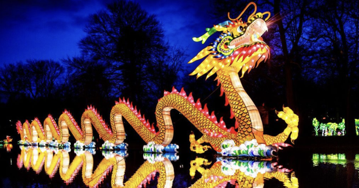 Wild Lights at the Louisville Zoo in Louisville at Louisville Zoo