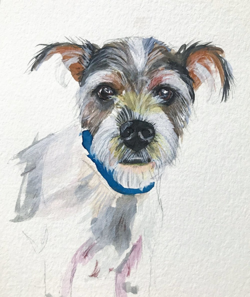 58 HQ Images Watercolor Pet Portrait : CUSTOM PET PORTRAIT Original